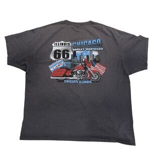 Vnt Beefy Harley-Davidson Chicago Illinois Graphic T-Shirt, XL | Gray Biker Tee